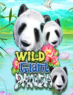 slotxo download android ufa191 แจก เงิน ที่ไม่ควรพลาด